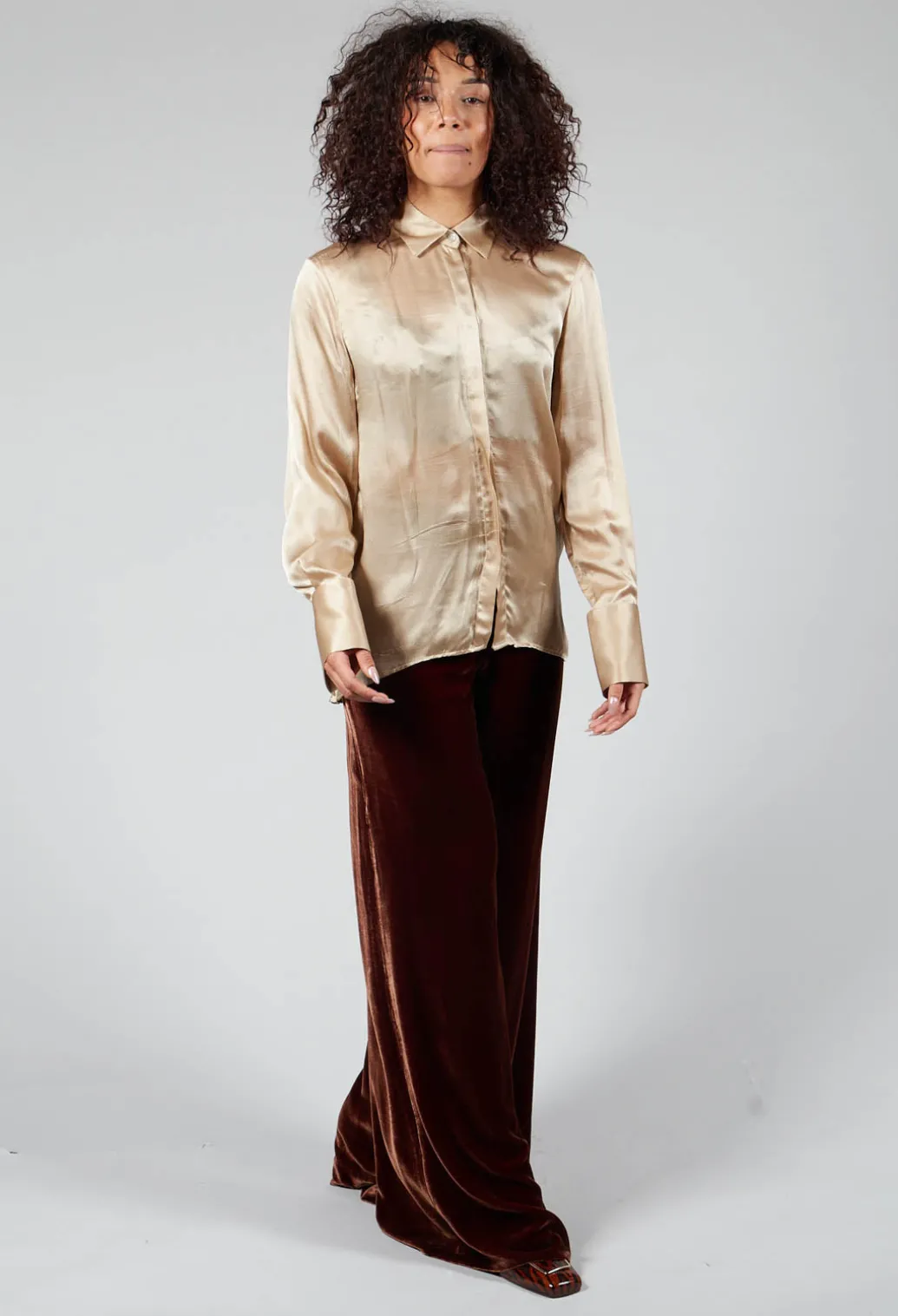 Long Sleeve Shirt in Champagne