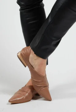 Pointed Pumps in Tortora