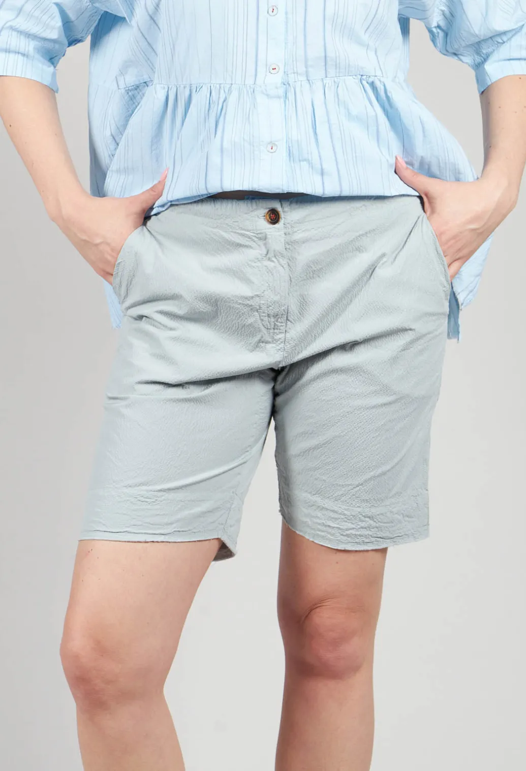 Primavera Shorts in Plantin